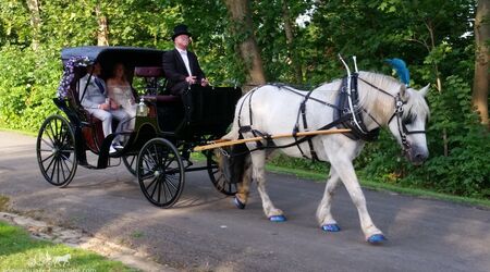 Carriage Limousine Service, Horse Drawn Carriages