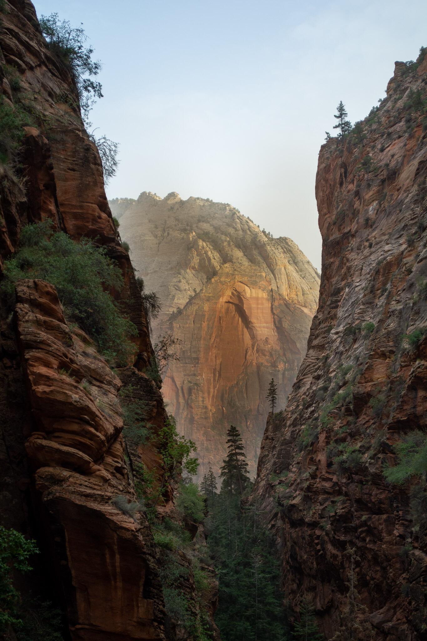 Loraine proposes to Evan in Zion National Park