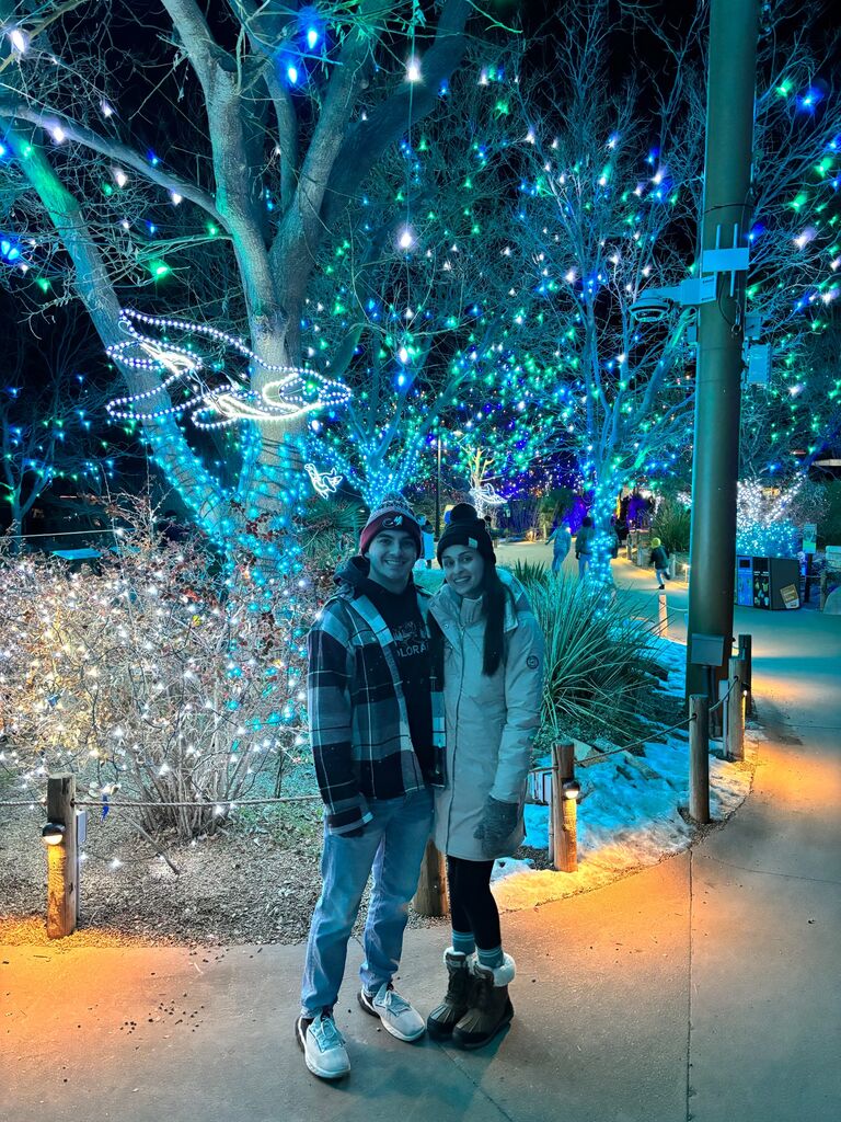 Zoo lights
(Denver Zoo)