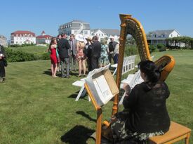 Teresa Tafuri - Harpist - North Kingstown, RI - Hero Gallery 2