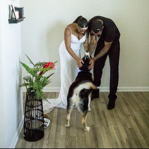 Gallery Photo 18