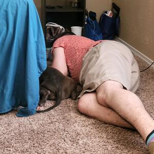 Gallery Photo 5