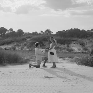 Gallery Photo 5