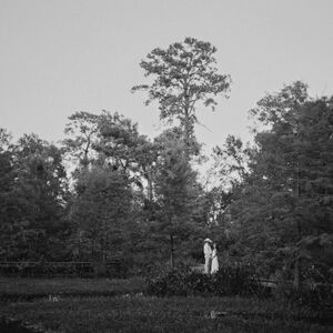 Gallery Photo 20