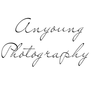 ANYoung Photography - Photographer - Cumming, GA - Hero Main