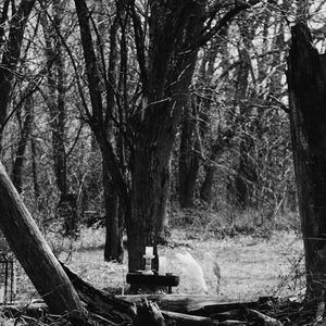 Gallery Photo 57