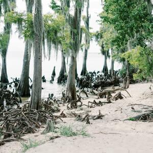 Gallery Photo 48