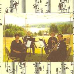 alliance string quartet, profile image