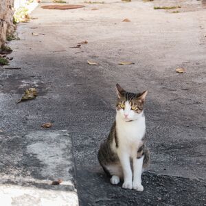 Gallery Photo 146