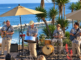 Island Sound Music - Ted Miklas - Steel Drum Band - Bloomfield Hills, MI - Hero Gallery 4