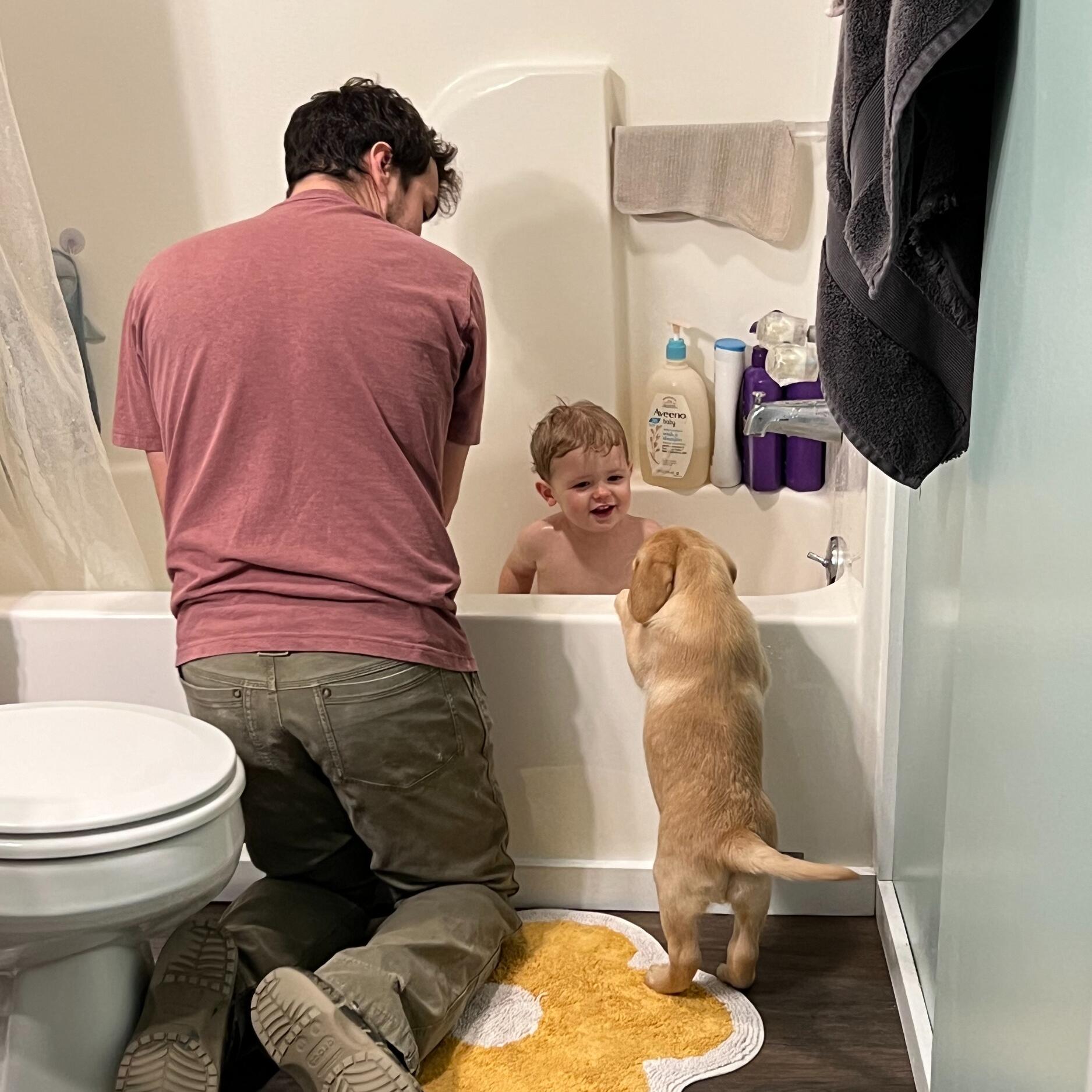 The day we brought little Bailee home!