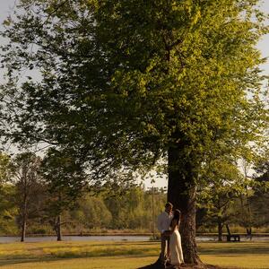 Gallery Photo 14