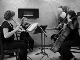 Harmony Strings - String Quartet - Sacramento, CA - Hero Gallery 2