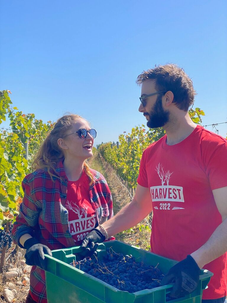 The Vines in Mendoza, Argentina