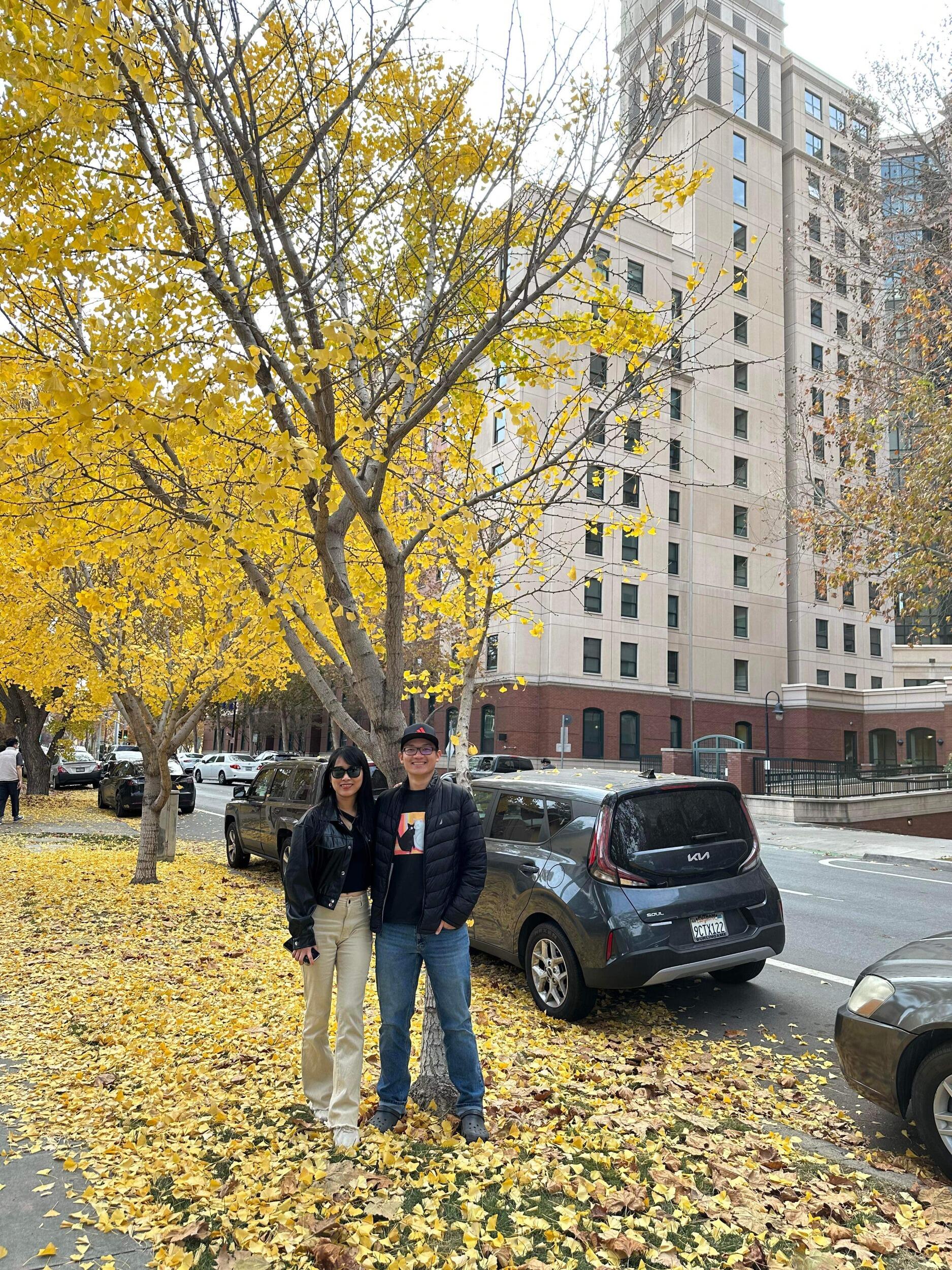 A quick capture of the golden leaves around SJSU 
