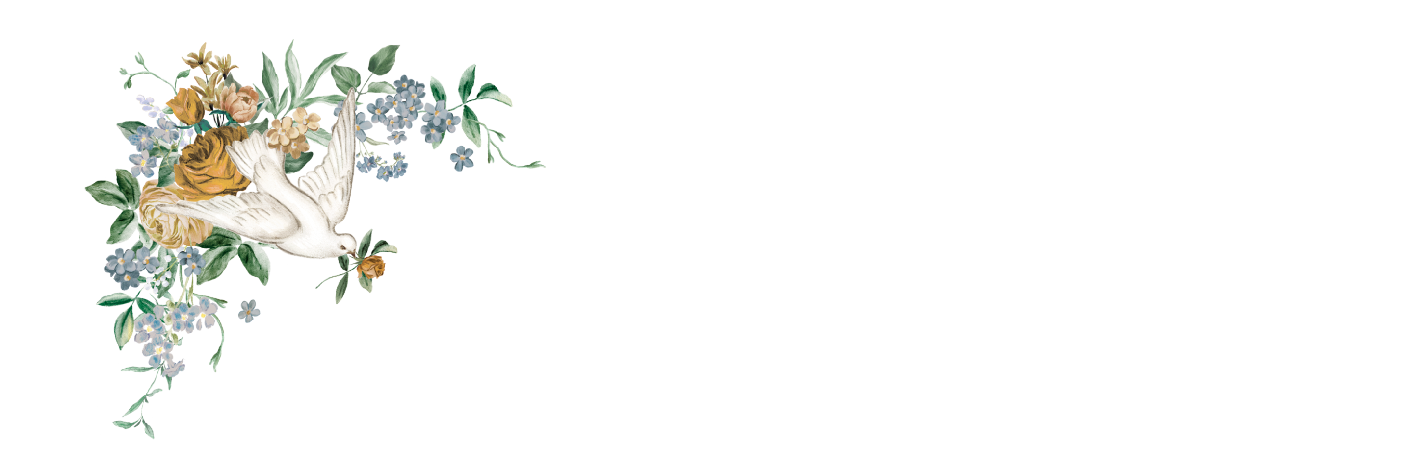 Top Theme Image