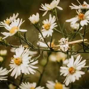 Gallery Photo 10
