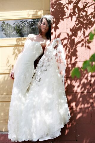 The Dress  Bridal  Boutique  Medina OH 