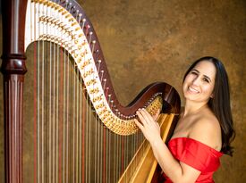 Laura Palmieri Michigan Harpist - Harpist - Birmingham, MI - Hero Gallery 2