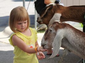 Honey Hill Farm Mobile Petting Zoo & Pony Rides - Animal For A Party - Berry, KY - Hero Gallery 4