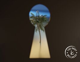 keyhole with palm tree paradise in the backdrop depicting The Best Credit Card to Pay for Honeymoon Travel