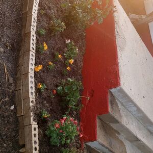 Gallery Photo 10