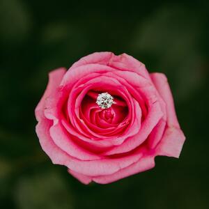 Gallery Photo 14