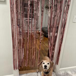 Gallery Photo 34