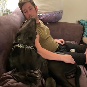 Gallery Photo 29