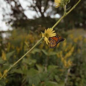 Gallery Photo 16