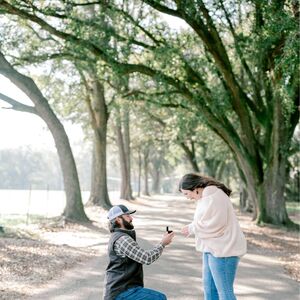 Gallery Photo 41