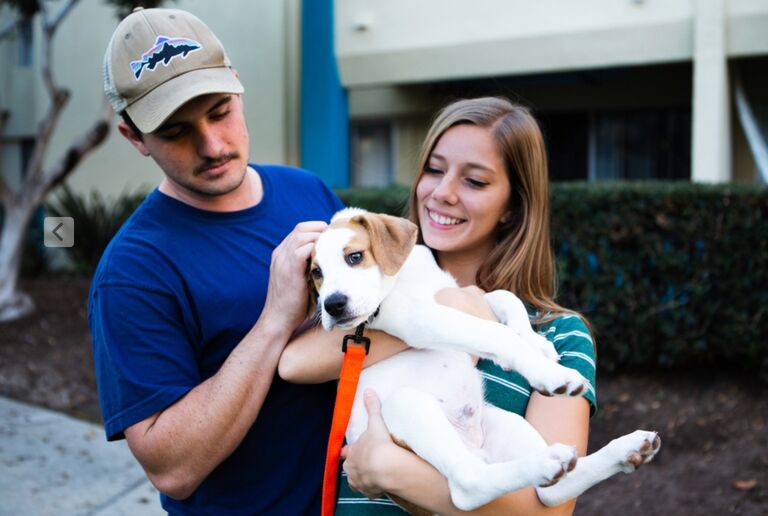 A few months later Austin adopted Trooper, their pointer-lab mix.  Trooper quickly turned out to be a lot to handle (not much has changed) and Taylor swiftly moved into their Pacific Beach apartment as Trooper and Austin needed the emotional support. 