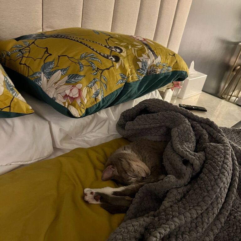 Sweet comfort of Home