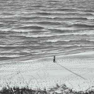 Gallery Photo 7