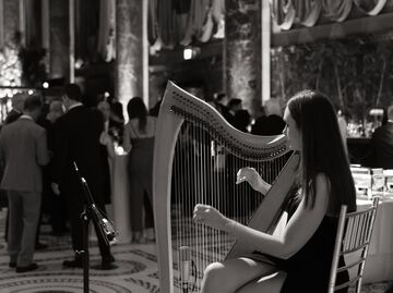 Mary Kate Boylan - Harpist - New York City, NY - Hero Main