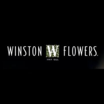 Winston Flowers - Florist - Boston, MA - Hero Main