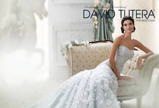 Mother of the Bride Dresses and Gowns With Prices in Augusta, ME - The Knot