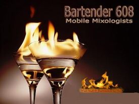 Bartender 608 Intoxicologists & Cocktail Caterers - Bartender - Madison, WI - Hero Gallery 1
