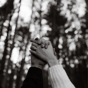 Gallery Photo 16