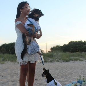 Gallery Photo 56