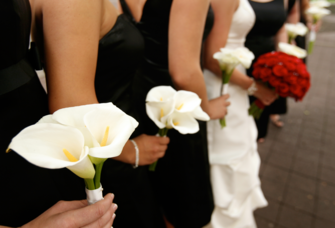 Bridesmaids wearing black dresses