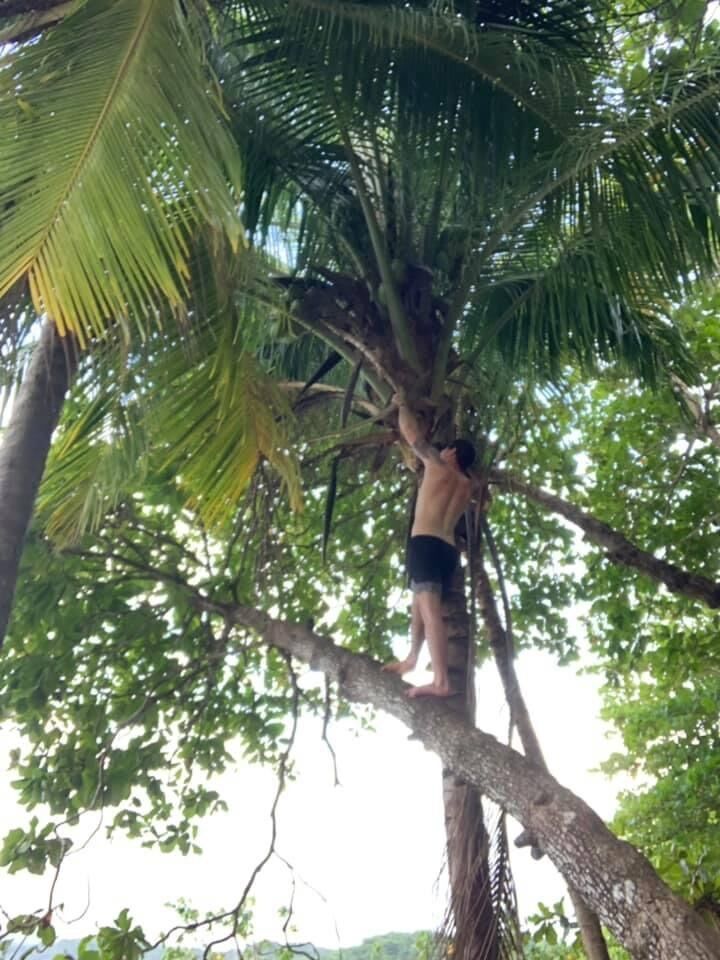 Fetching McKenzie a coconut. 