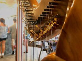 Elfan Harp - Harpist - Crozet, VA - Hero Gallery 2
