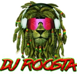 DJ ROOSTA, profile image