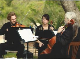 Fountainhead Ensemble - String Quartet - Austin, TX - Hero Gallery 2