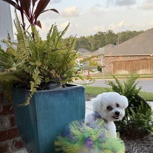 Gallery Photo 31