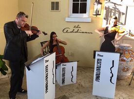 Vibrant Harmony Entertainment - Violinist - Fort Lauderdale, FL - Hero Gallery 3