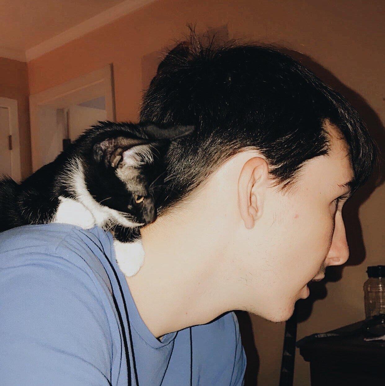 Happy Gotcha Day, Beans!
