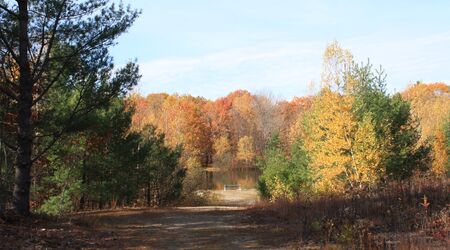 100-Acre Wood Weddings - Venue - Intervale, NH - WeddingWire