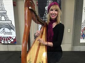 Harpist Sheila Jaffe - Harpist - San Diego, CA - Hero Gallery 1